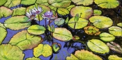 art of Nancy Lilly